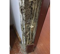 白蚁横生门框虫蛀