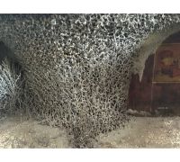 白蚁窝