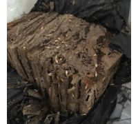 工程放的引诱箱被白蚁吃空